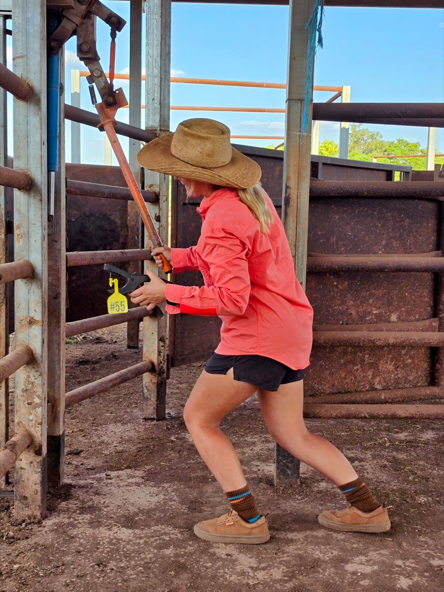 Stockwoman working a cattle crush gate in Mickey Bull slip-ons and socks